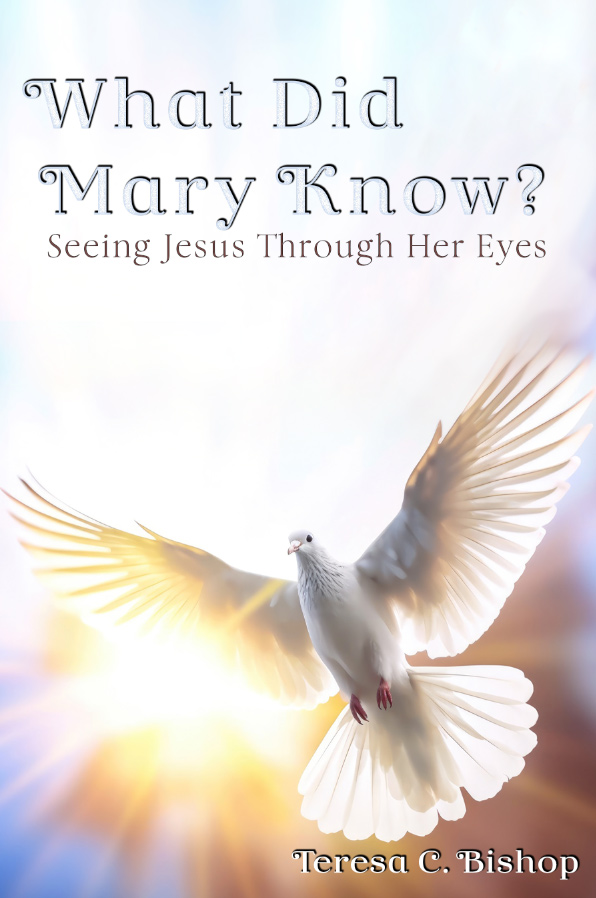 What Did Mary Know? Seeing Jesus Through Her Eyes